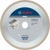 BOSCH  Disc diamantat gresie 250x30/25.4 BEST