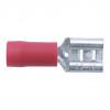 CROMWELL  Conectori i - Terminale cu Conector Mama cu impingere 6.30 mm WIDE RED FEMALE PUSH-ON (Set de 100)