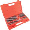 CROMWELL  Set Varfuri Puternice Hex 10 mm 40 piese TORX, HEX & SPLINE BIT SET